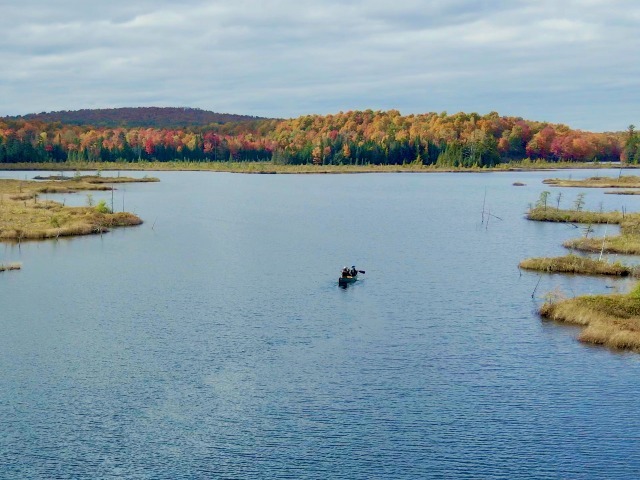 lake with unique floating bog with people boating in a canoe