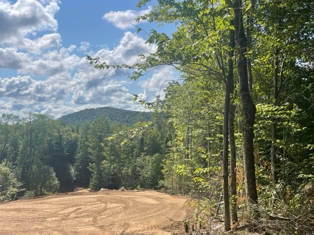 Clearing surrounded by forrest with mountains in the distance